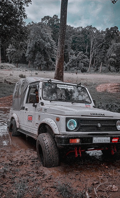 我们可以看 我们可以看