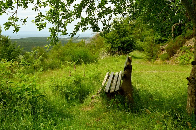 能显著提升 能显著提升